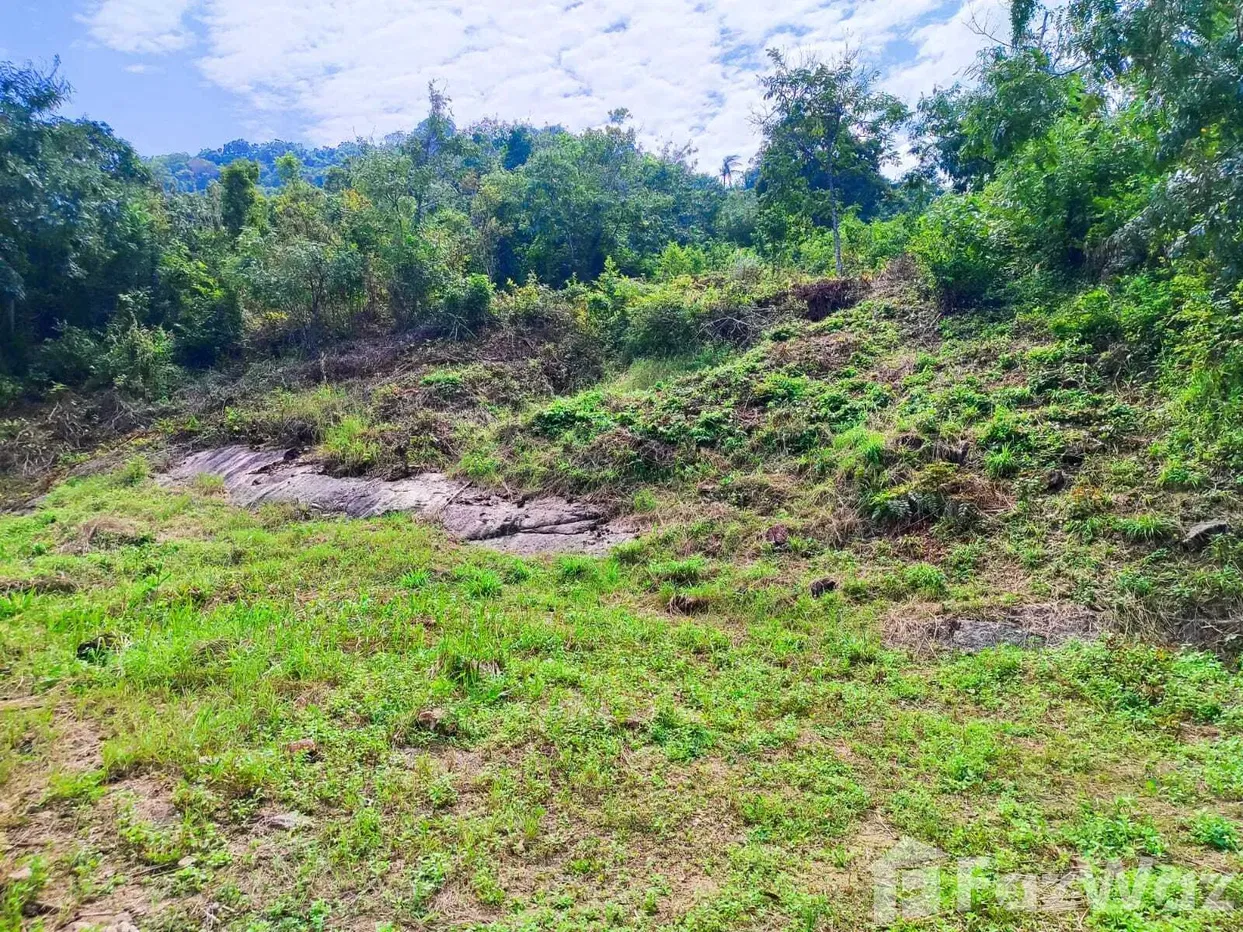 picture Land for sale in Maenam, Surat Thani - 7/10