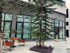 listing thumbnail image 16