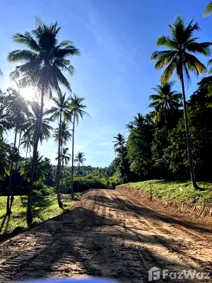 Land for sale : Land for sale in Maenam, Surat Thani