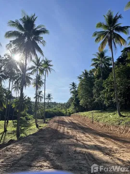 Land for sale in Maenam, Surat Thani