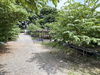 listing thumbnail image 12