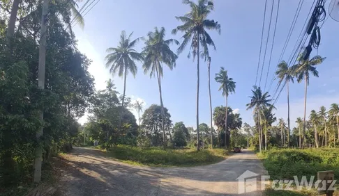 ขาย ที่ดิน ใน ตลิ่งงาม, สุราษฎร์ธานี