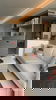 listing thumbnail image 28