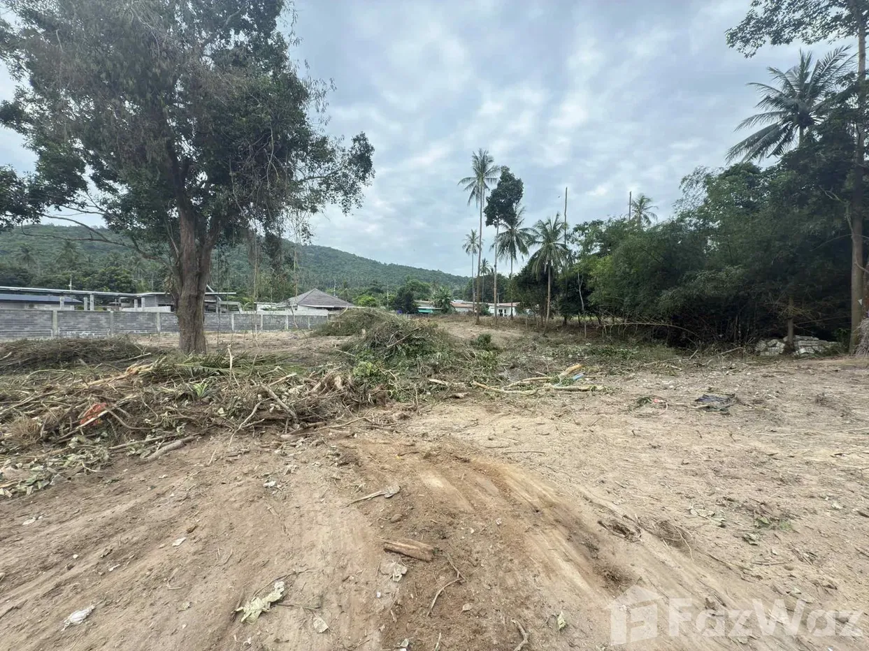 picture Land for sale in Maenam, Surat Thani - 13/16
