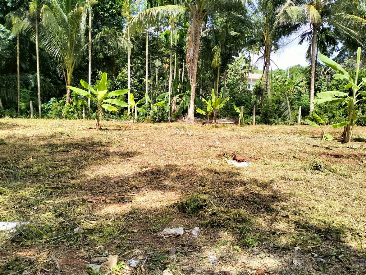 รูป ขายที่ดิน " โฉนด "  251.6 ตร.ว.   เหมาะสำหรับสร้างบ้าน เป็น ที่จัดสรร  นำ้ไม่ท่วม   มีไฟฟ้า ประปาพร้อม  0816919593 , 0945922442  - รูปที่ 7/7