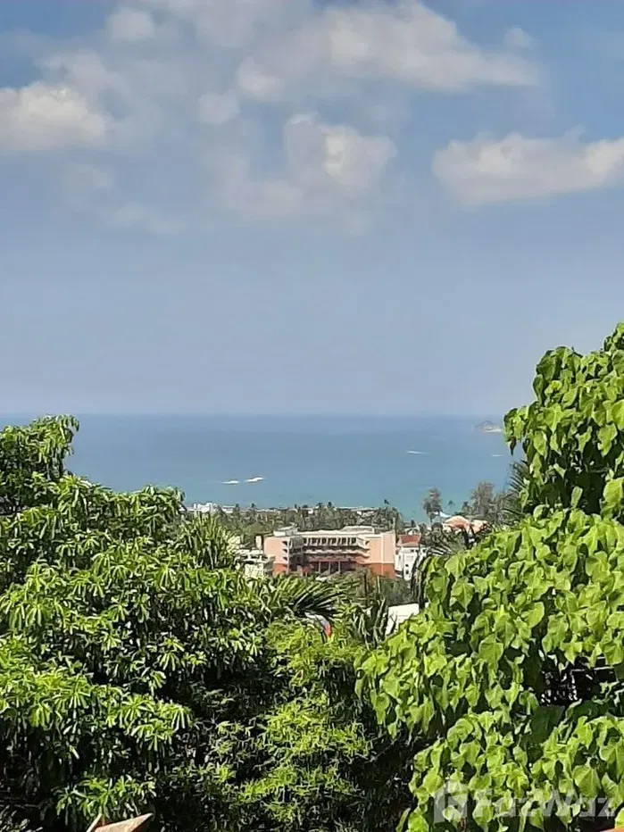 picture 3 Bedroom Villa for sale in Patong, Phuket - 5/33