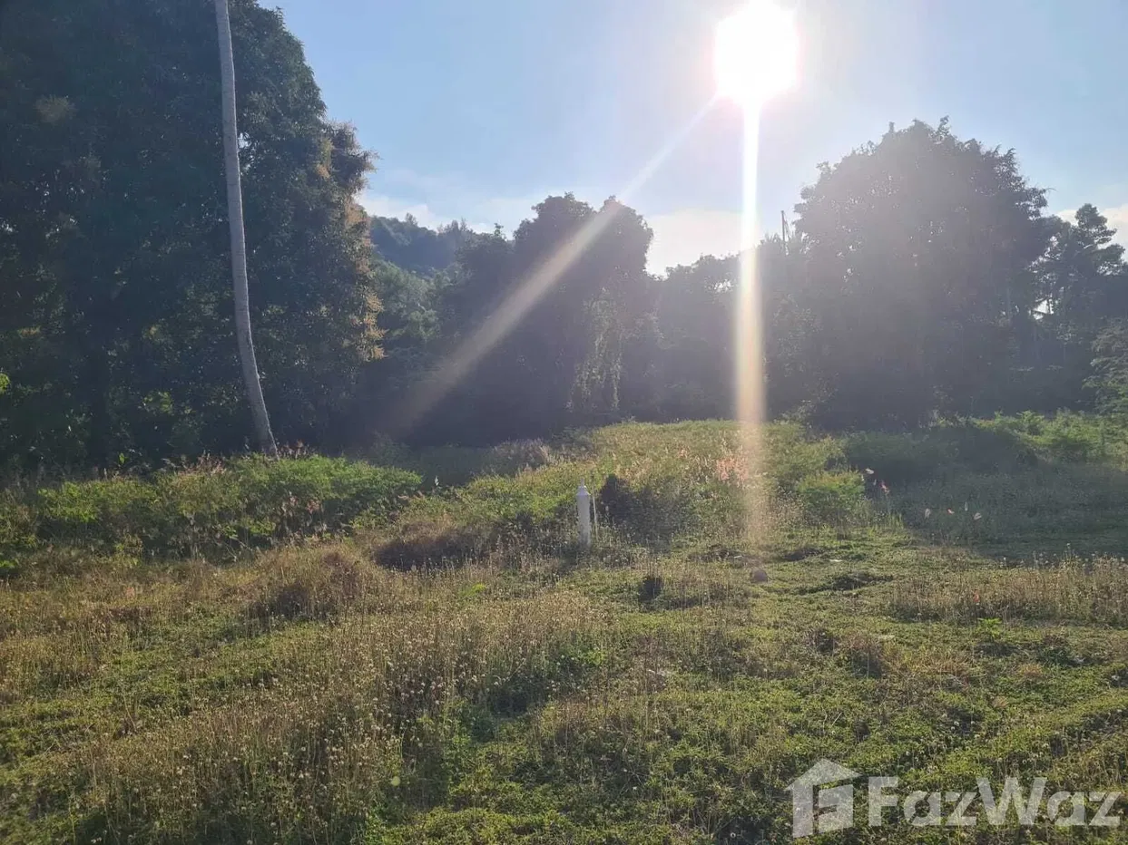 picture Land for sale in Taling Ngam, Surat Thani - 8/15