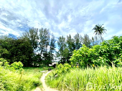 Land for sale Thalang Phuket : Land for sale in Sakhu, Phuket