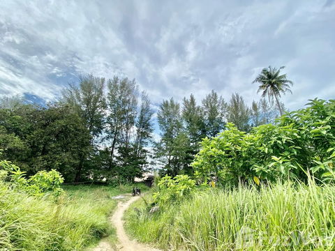 ขาย ที่ดิน ใน สาคู, ภูเก็ต