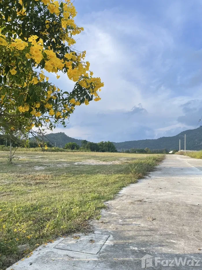 รูป ขาย ที่ดิน ใน หินเหล็กไฟ, ประจวบคีรีขันธ์ - รูปที่ 2/15