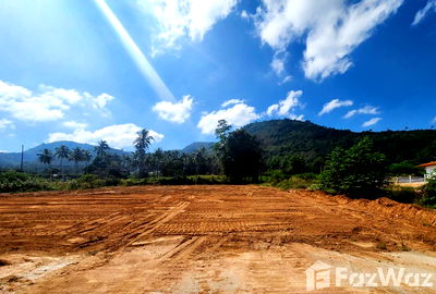 Land for sale Surat Thani : Land for sale in Maenam, Surat Thani