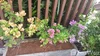 listing thumbnail image 38