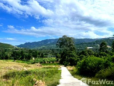Land for sale Ko Samui Surat Thani : Land for sale in Bo Phut, Surat Thani