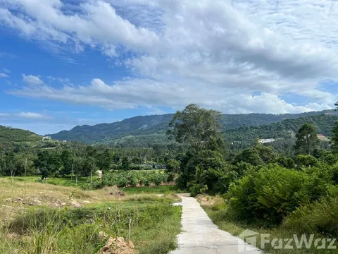Land for sale in Bo Phut, Surat Thani