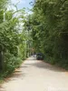 listing thumbnail image 14