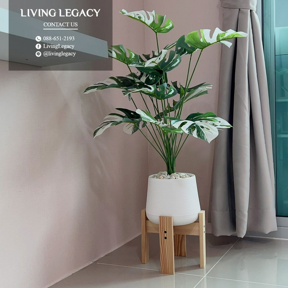 picture LSZV0VVV Condo For Rent Asakan Place Srinakarindra 32.48 Sq.M. Floor 29 line id : @livinglegacy - 11/13