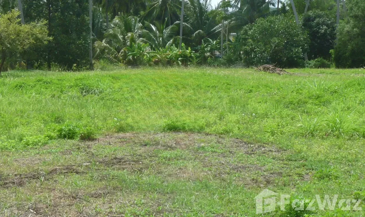 picture Land for sale in Maenam, Surat Thani - 2/4