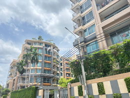 รูป Siamese Nang Linchee - รูปที่ 4/16