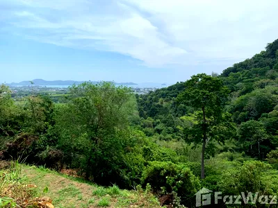 Land for sale Chalong : Land for sale in Chalong, Phuket