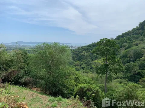 Land for sale in Chalong, Phuket