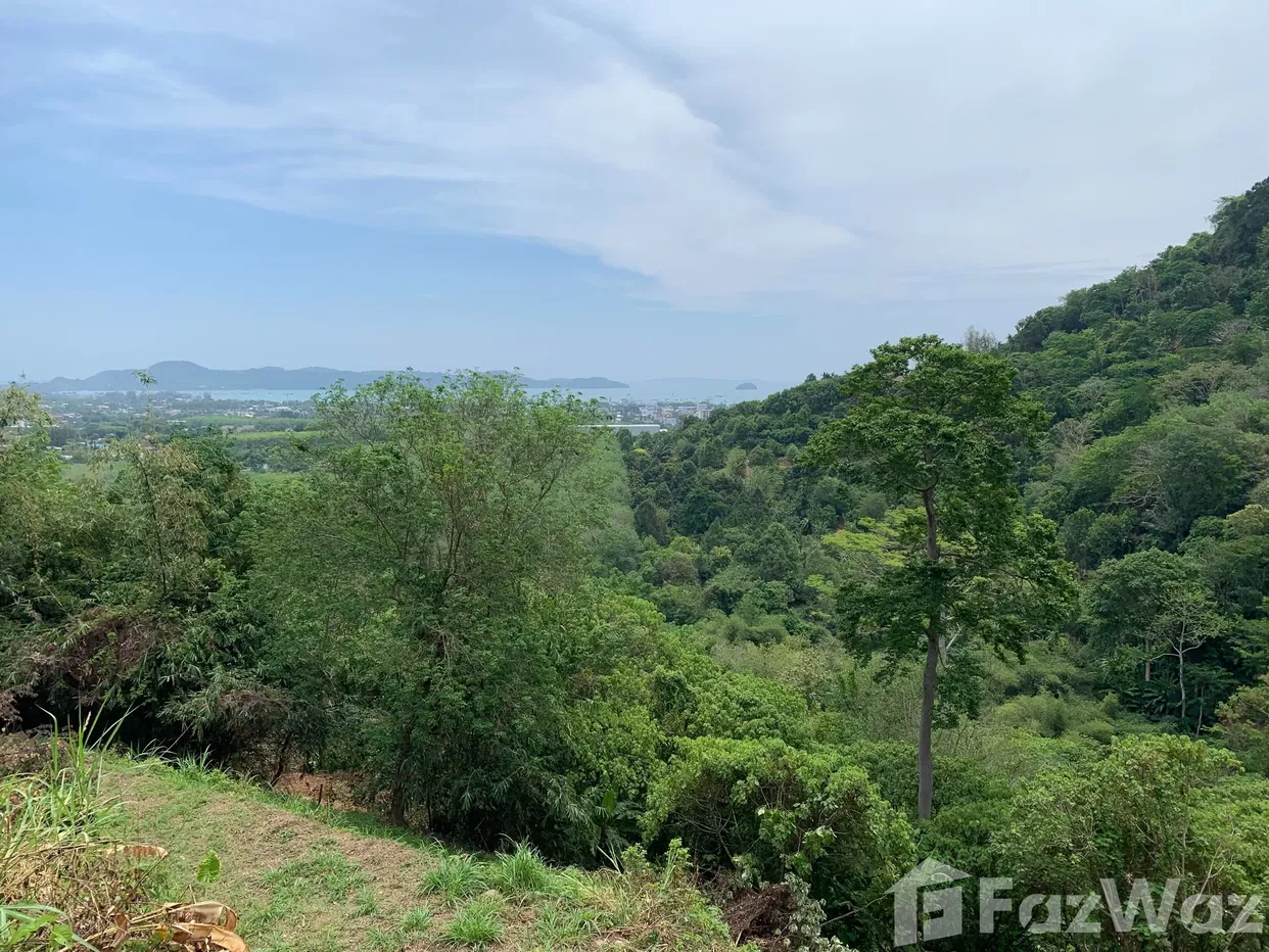 picture Land for sale in Chalong, Phuket - 1/6