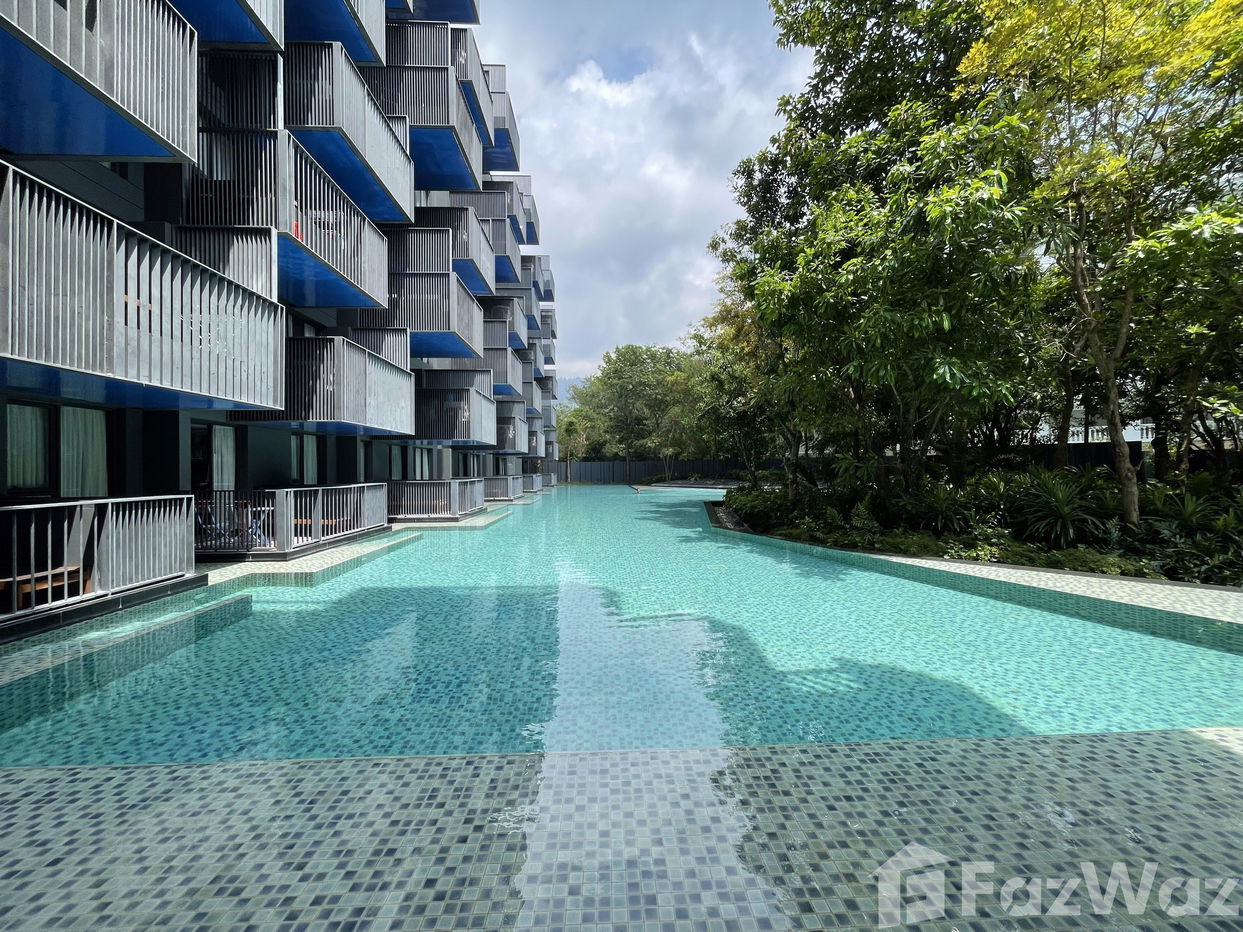 รูป ขาย คอนโด 1 ห้องนอน ในโครงการ เดอะ เดค ป่าตอง - รูปที่ 18/36