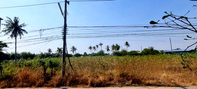 ที่ดิน นิคมราชชลบุรี : ขายที่ดินทำเลสวย เขตหนองขาม ศรีราชา ชลบุรี 