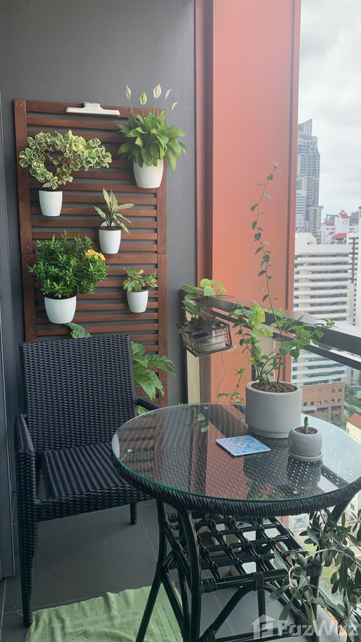 picture 2 Bedroom Condo for sale at Circle Sukhumvit 31 - 4/34