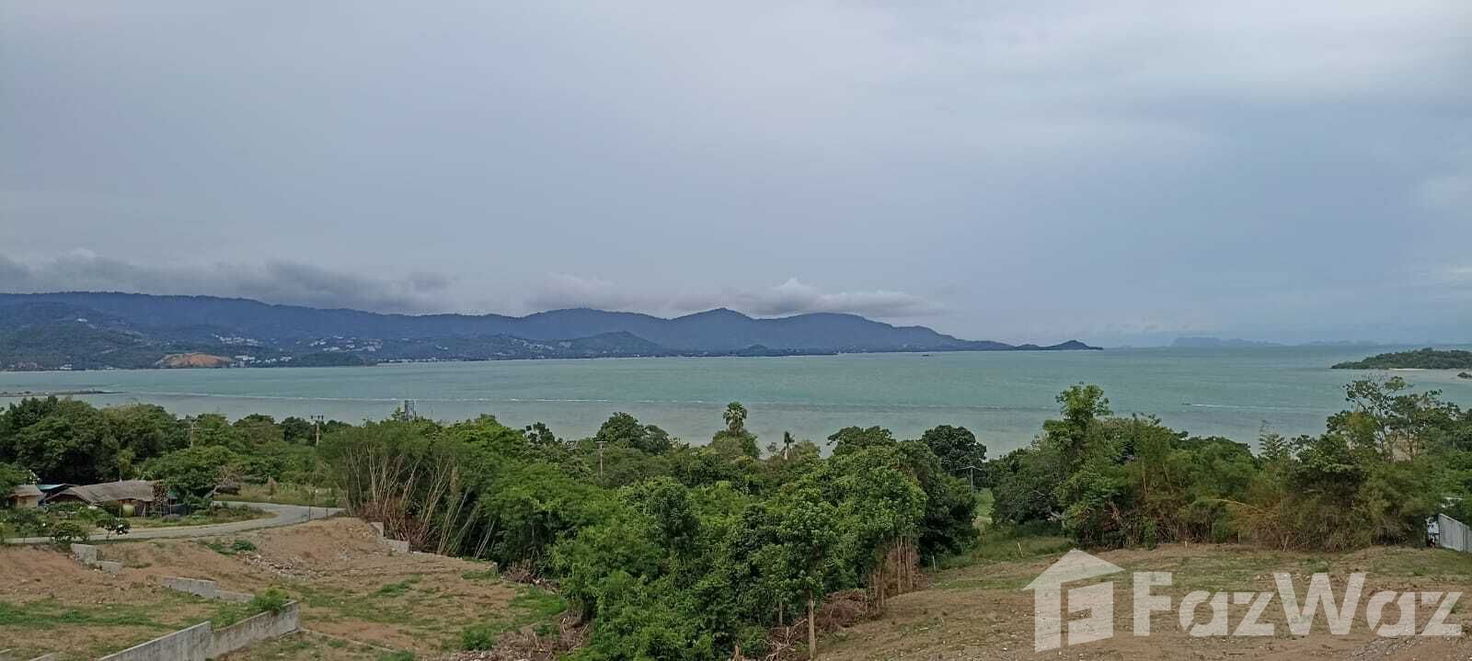 รูป ขาย ที่ดิน ใน บ่อผุด, สุราษฎร์ธานี - รูปที่ 3/10