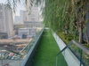 listing thumbnail image 54