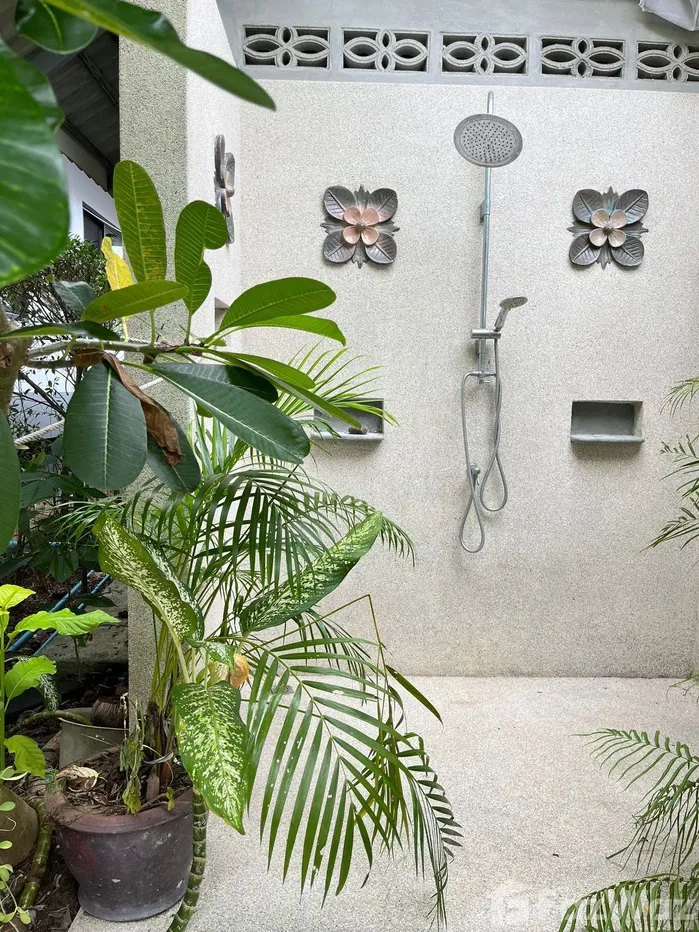 รูป บ้านเดี่ยวให้เช่า 3 ห้องนอน ใน หน้าเมือง, สุราษฎร์ธานี 1985108 - รูปที่ 30/30