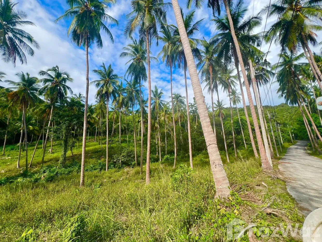 picture Land for sale in Taling Ngam, Surat Thani - 3/6