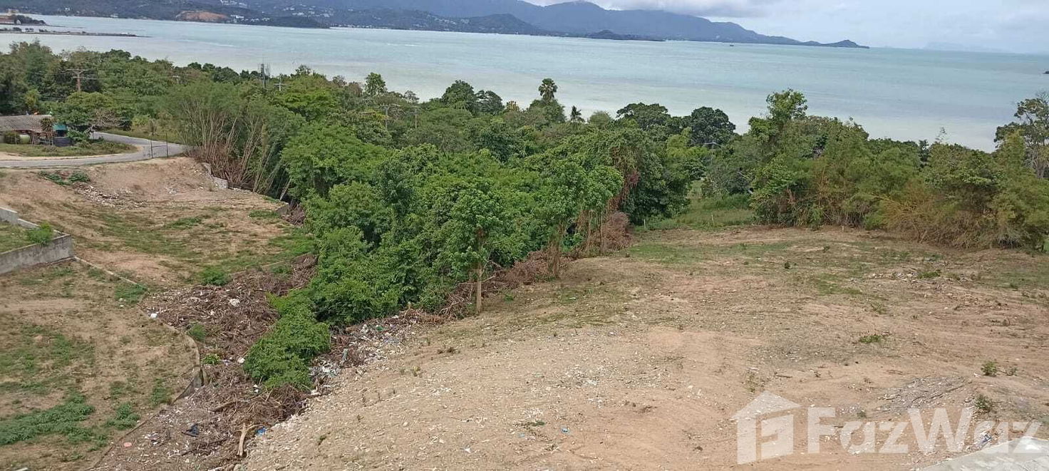 picture Land for sale in Bo Phut, Surat Thani - 1/11