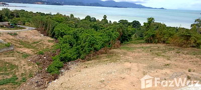 Land for sale : Land for sale in Bo Phut, Surat Thani