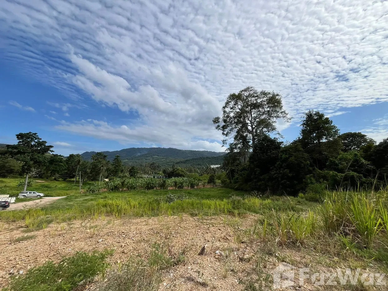picture Land for sale in Bo Phut, Surat Thani - 4/5