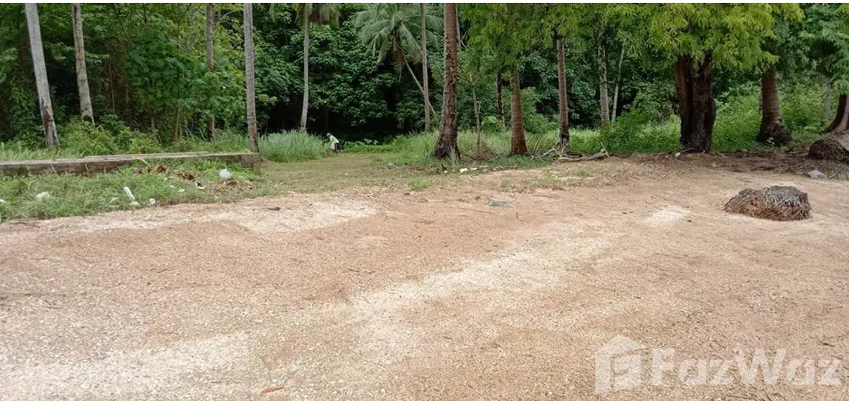 picture Land for sale in Pa Khlok, Phuket - 6/13