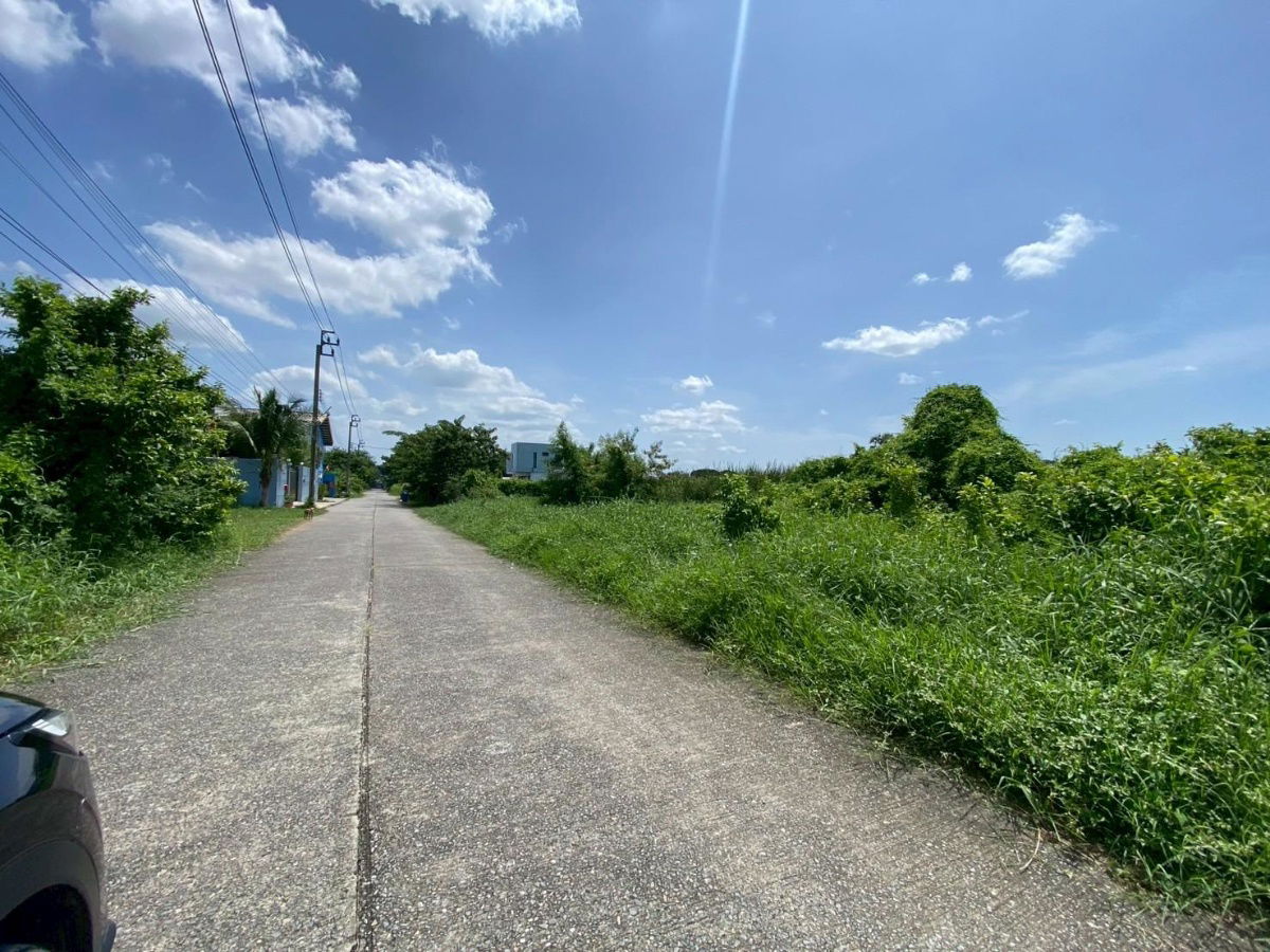 รูป ขายด่วน ที่ดินเปล่า 200 ตร.ว. หมู่บ้านปิ่นทองแลนด์ แฟคทอรี่ อ.บางบัวทอง จ.นนทบุรี ราคาดี - รูปที่ 3/8