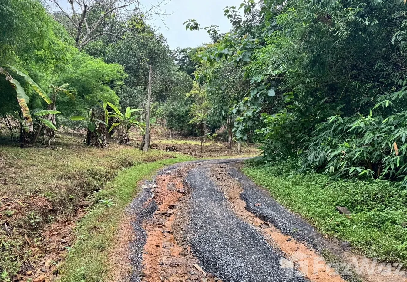 picture Land for sale in Ratsada, Phuket - 5/12