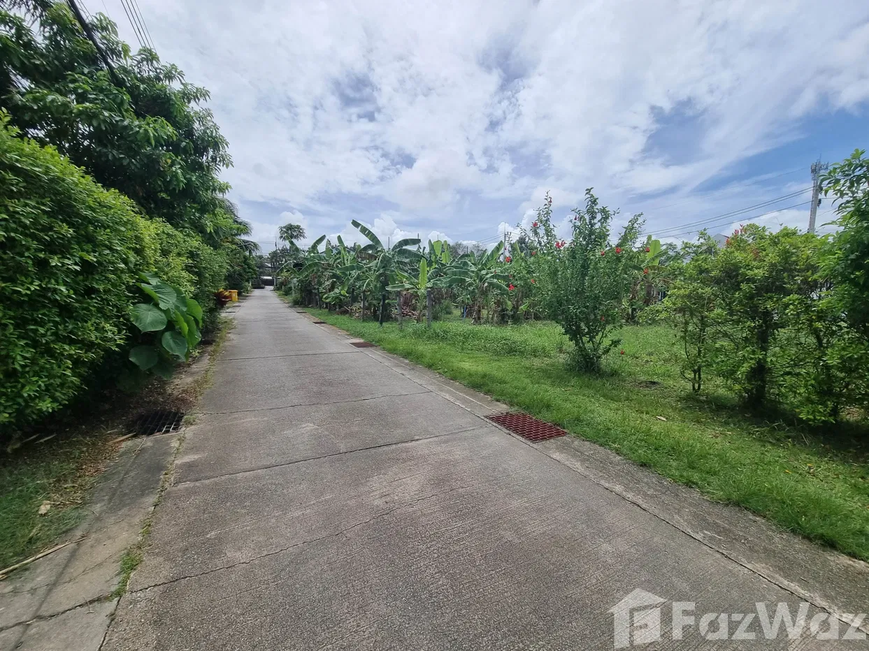picture Land for sale in Choeng Thale, Phuket - 5/8