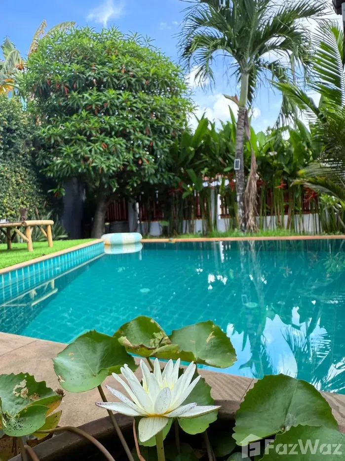 picture Your Little Paradise Awaits – Affordable Luxury in Paklok 🌴 - 10/28