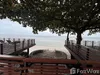listing thumbnail image 26