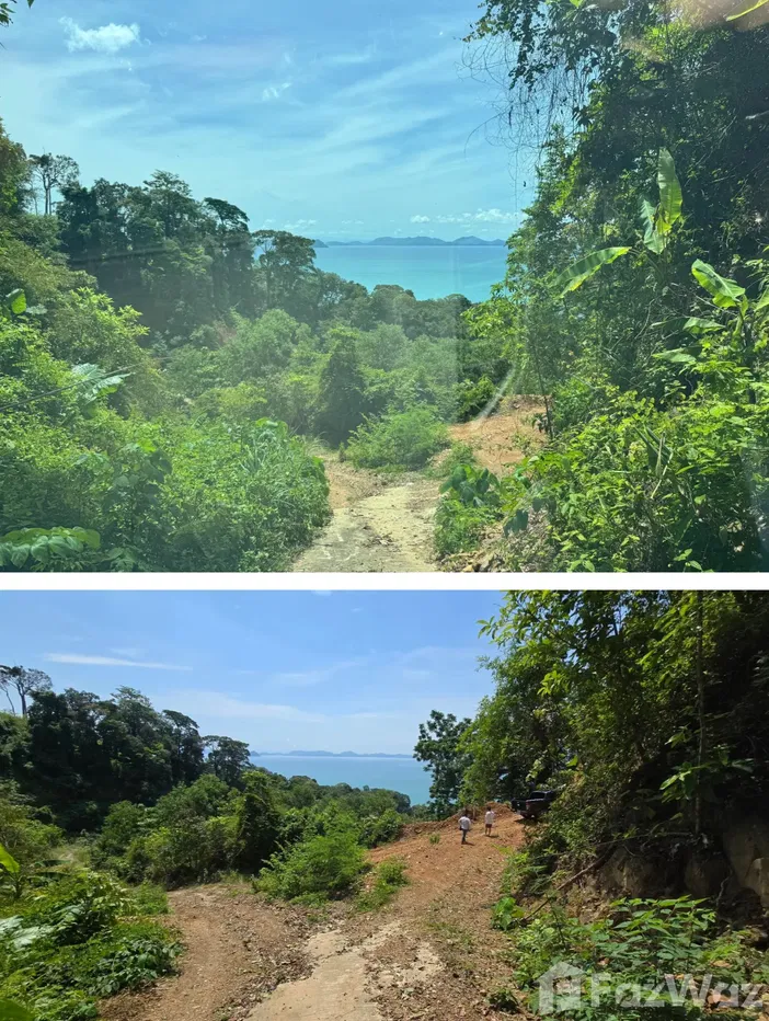 picture Land for sale in Ratsada, Phuket - 4/8