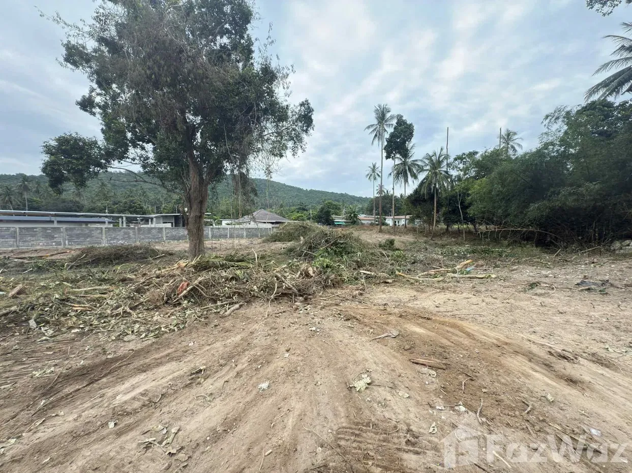 picture Land for sale in Maenam, Surat Thani - 9/16