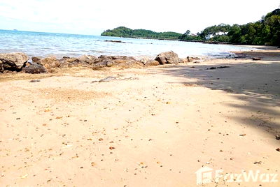 Land for sale Super Cheap Market : Land for sale in Ratsada, Phuket