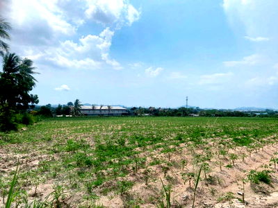 Land for sale Pinthong Industrial Estate : Beautiful plot of land for sale, good price, Bueng District, Sriracha, Chonburi