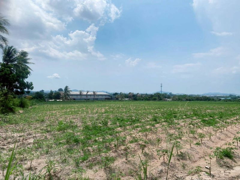 picture Beautiful plot of land for sale, good price, Bueng District, Sriracha, Chonburi - 1/9