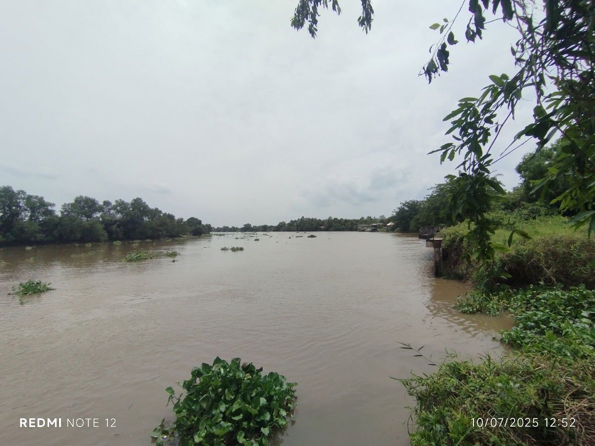 picture 🌊Premium riverside land in BangPakong, 30+rai, ONLY1plot, BangKhla, next to the main road+river, beautiful view, potential for various developments - 4/14