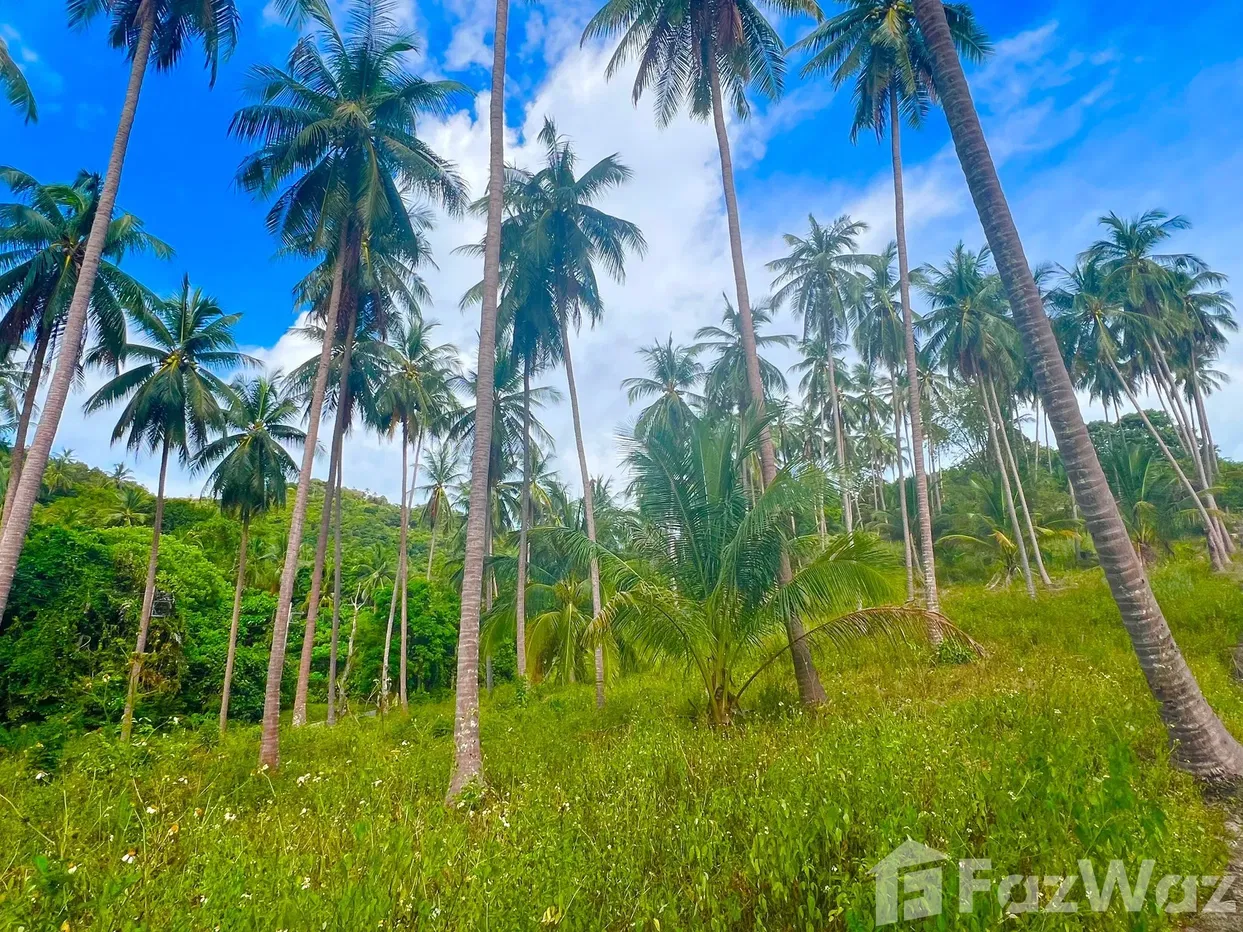 picture Land for sale in Taling Ngam, Surat Thani - 6/18