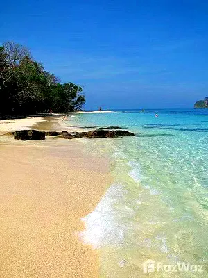Land for sale : Land for sale in Pa Khlok, Phuket