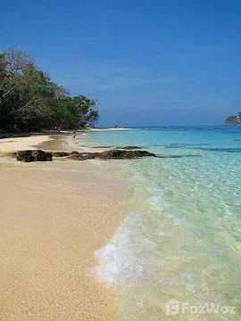 Land for sale in Pa Khlok, Phuket